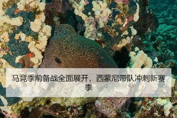 马竞季前备战全面展开，西蒙尼带队冲刺新赛季
